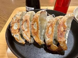浜松弐輪舎餃子