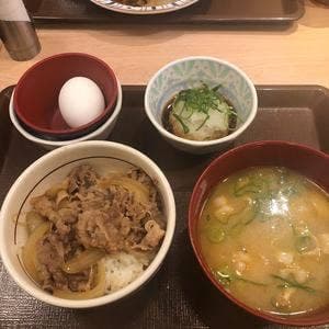 すき家 石狩花川店