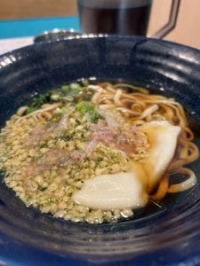 今日、うどん