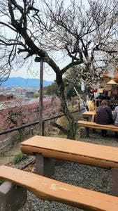 奥村不老園 売店