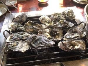 ろばた焼き 盛ちゃん