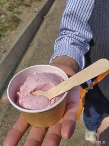 やまもと夢いちごの郷 スイーツコーナー