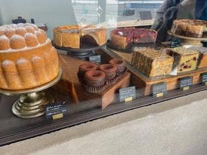 THE MIDRAIN SHOP