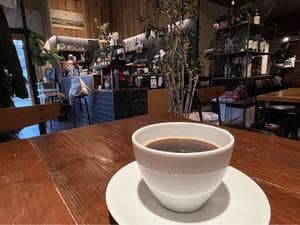 NEWBIE coffee stand
