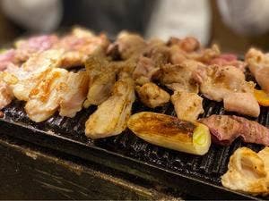 鳥匠 穂積