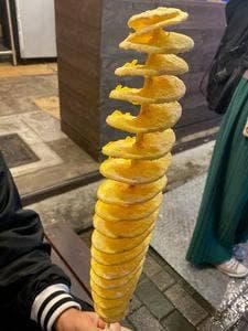 京都たこぱん