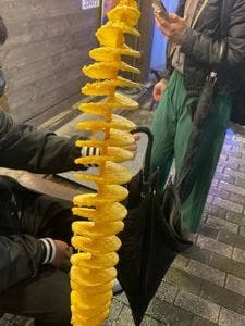 京都たこぱん