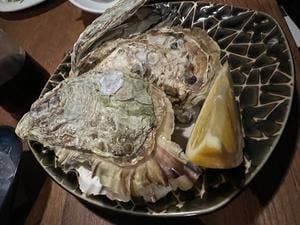 OysterBar MABUi 広島駅前店