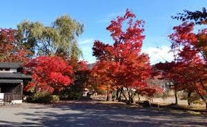 アンティークカフェ あうん亭 きみまろ茶や