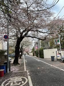 一宮庵