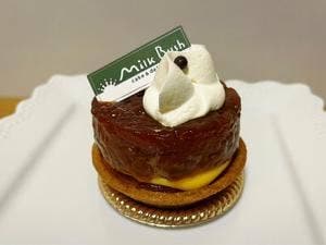 ミルクブッシュ 高蔵寺店