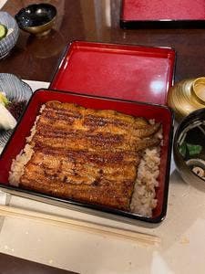 東京飯田橋 うなぎ 川勢