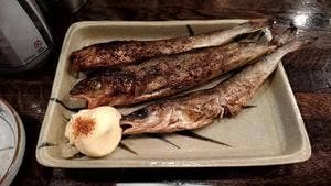 どーもどーも おお田です