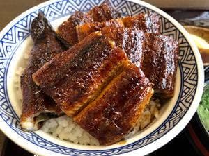 なまずや県庁前店