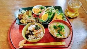 菜つむぎ商店&ポルカドッツ