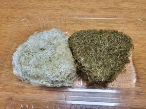 おばんざいカフェ ひらき昆布店