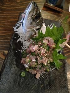 小田原産 朝どれ地魚地酒 湘南大衆横丁 小田原店