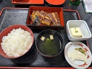 うなぎ天然活魚 やまさき