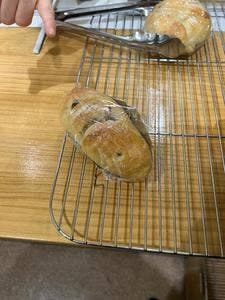 Bakery Olive