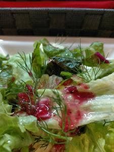 むーみんの森