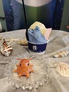 沼津深海プリン工房 青とプリンとジェラートと