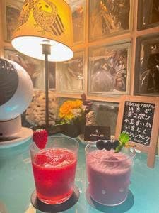 BAR OWLS