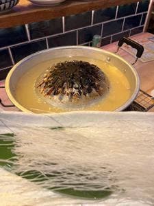 モツガスキ
