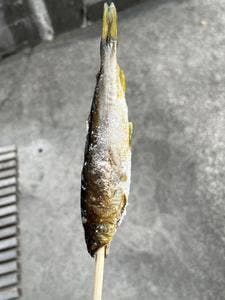 狩の川屋