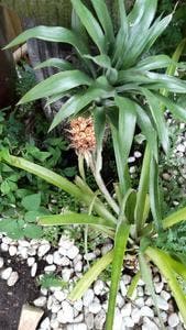 旅館食堂 くりや