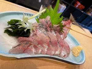 鳥やぶ