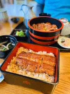 本家柴藤
