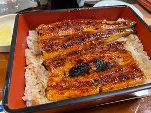 うな専