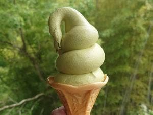 Cafe あまてらすの隠れテラス