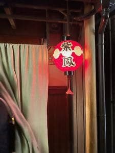紫鳳