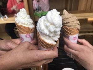 CAFÉ 杜のテラス