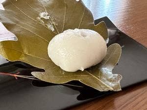 餅寅
