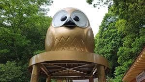 和食・喫茶 ふくろう 椿茶屋