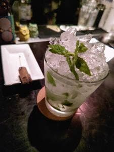 SHOTBAR ふくろう