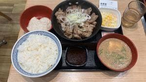 吉野家 カインズホーム千葉ニュータウン店