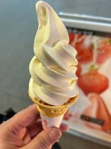 ホースアイ
