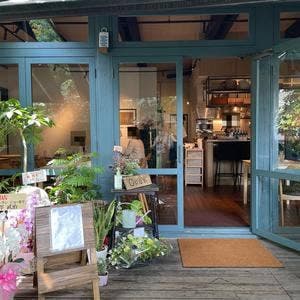 chez petit chat noir