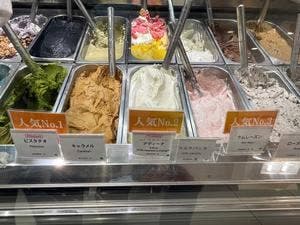 サルテリア