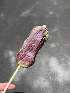 赤門家