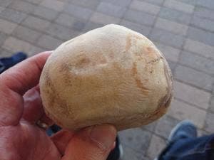 かあさん家