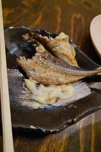 小田原産 朝どれ地魚地酒 湘南大衆横丁 小田原店