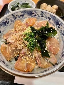 小石川 かとう