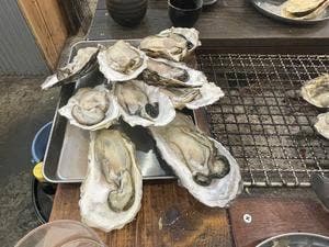 湘南・海鮮浜焼き はまさき村 湘南本店