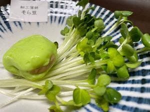 鈴廣かまぼこ 小田原ラスカ店