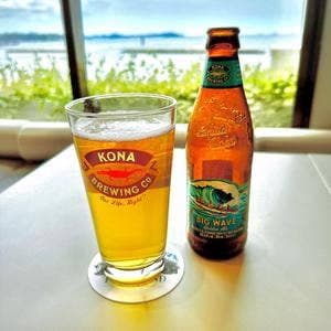 ハワイアンレストラン THE ISLAND 愛知・吉良ワイキキビーチ店