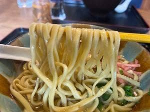 はちのこ いこっと